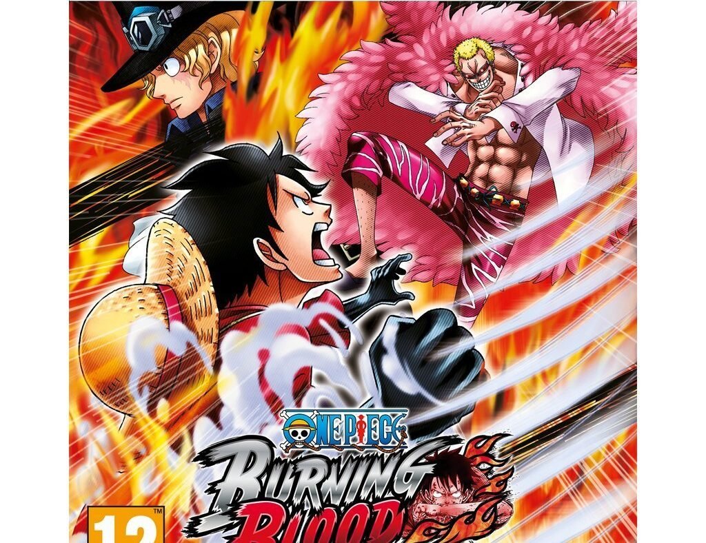 One Piece: Burning Blood (PS4)(REPACK)