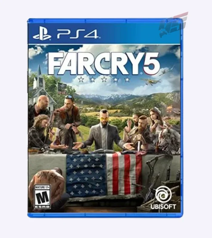 Far Cry 5  PlayStation 4 Standard Edition