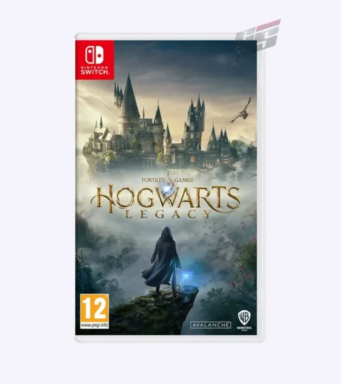 Hogwarts Legacy N Switch